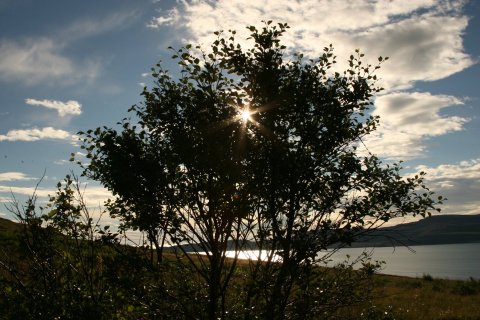 Skrifað undir samninga - Skólahald verður með hefðbundnum hætti á morgun, miðvikudaginn 26. febrúar