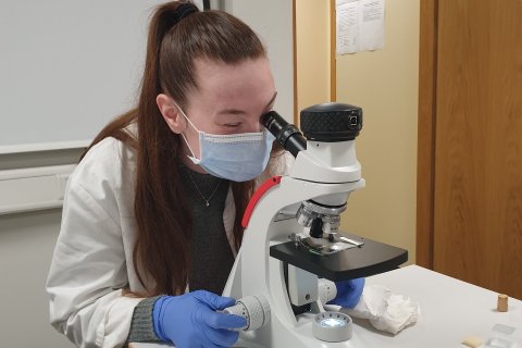 Verkleg tilraun í erfðafræði