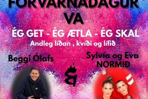 Forvarnamálþing VA