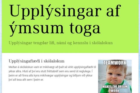 Upplýsingar af ýmsum toga