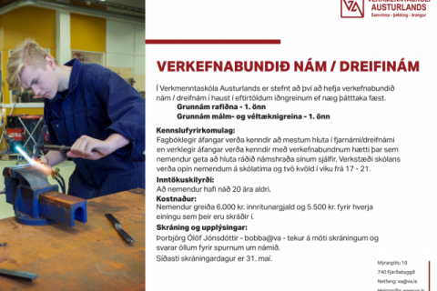 Verkefnabundið nám /dreifnám