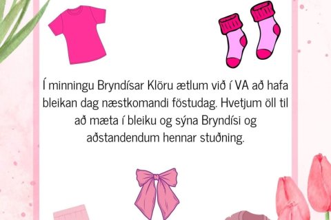 Bleikt í minningu Bryndísar Klöru