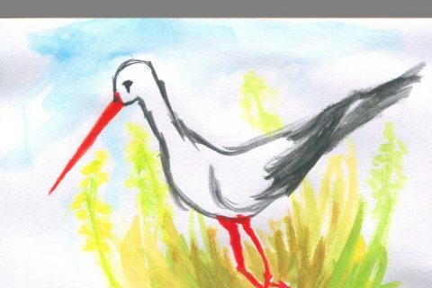 Bók sem allir myndu lesa