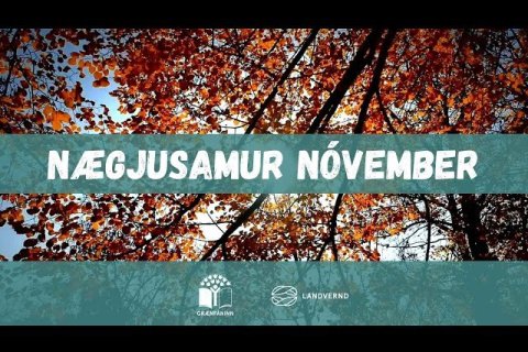 Nægjusamur nóvember