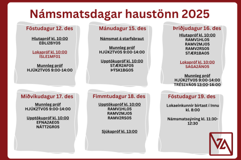 Námsmatsdagar í desember