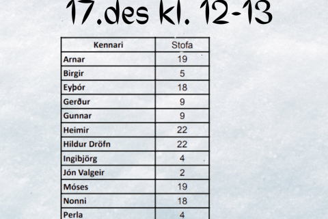 Námsmatssýning 17. desember
