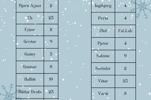Námsmatssýning 20. desember 11:30-12:30