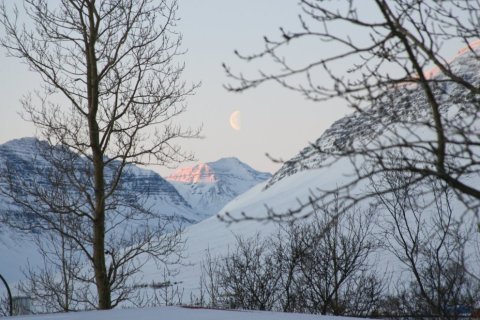 Skólahald fellur niður eftir hádegi í dag